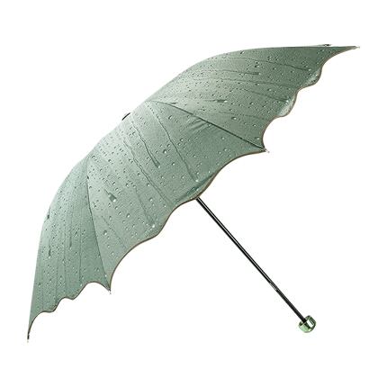 fancy umbrella online shopping