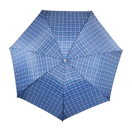 buy designer umbrella online